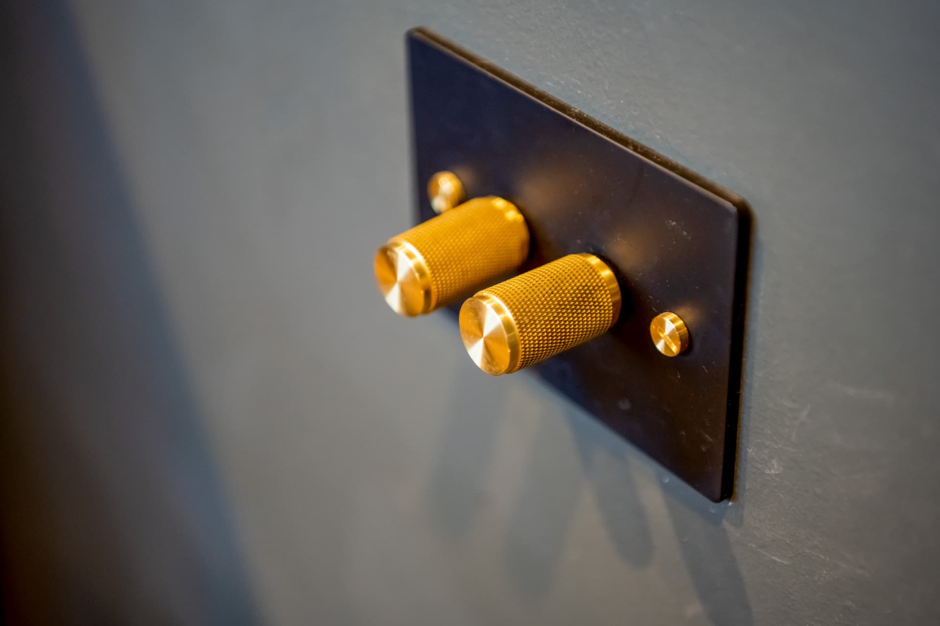 Brass dimmer detailing on charcoal walls